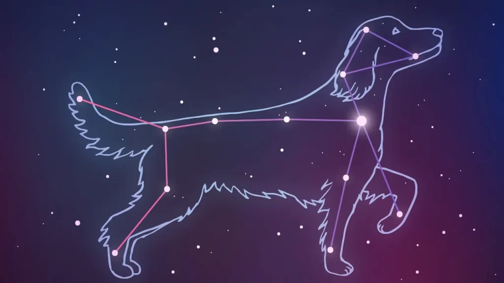 canis major constellation the dog