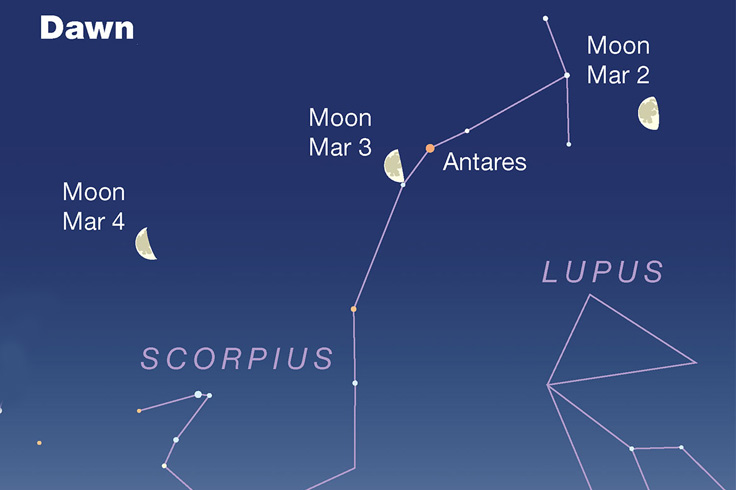 constellation at Dawn, stars and the position of moon